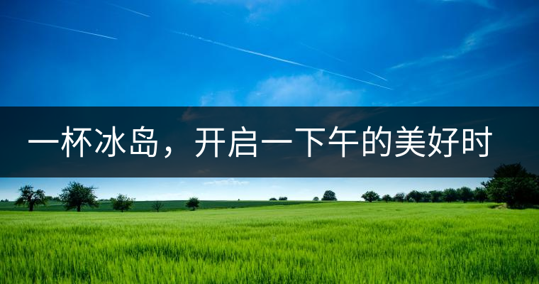 一杯冰島，開啟一下午的美好時光