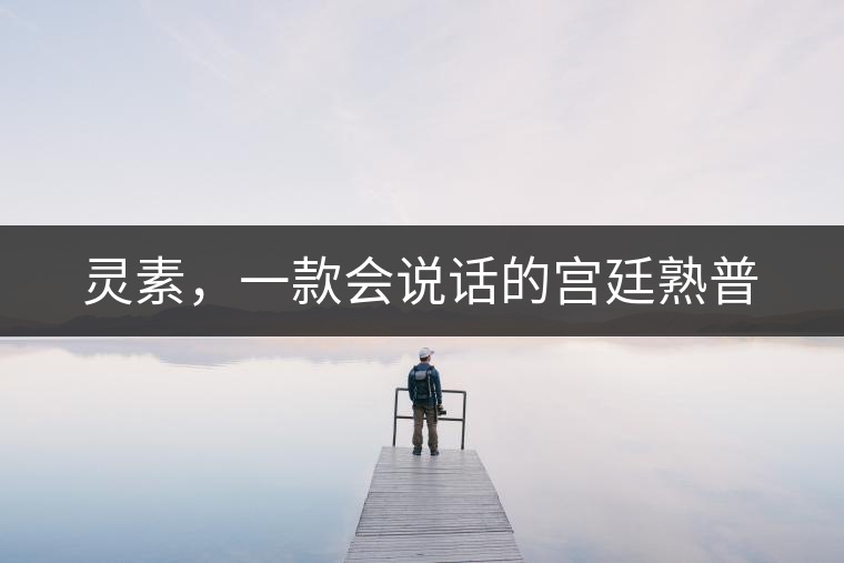 靈素，一款會(huì)說話的宮廷熟普
