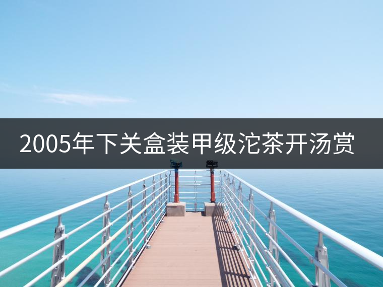 2005年下關(guān)盒裝甲級(jí)沱茶開湯賞析 2005年下關(guān)盒裝甲級(jí)沱茶開湯賞析
