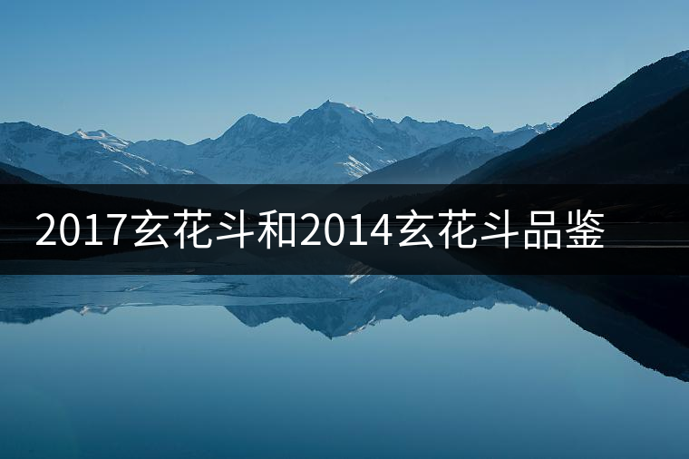 2017玄花斗和2014玄花斗品鑒對比 2017玄花斗和2014玄花斗品鑒對比
