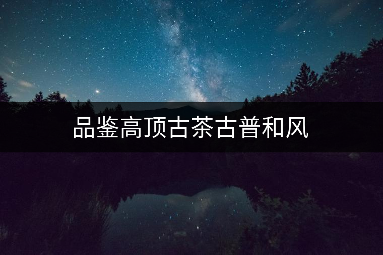 品鑒高頂古茶古普和風