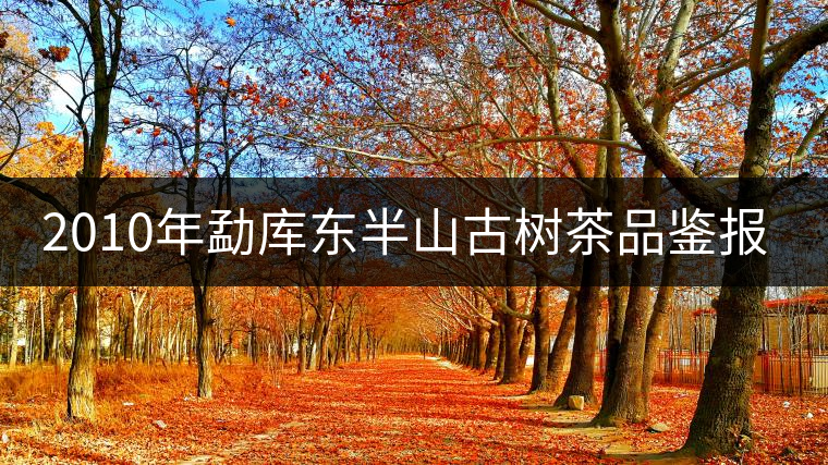 2010年勐庫(kù)東半山古樹茶品鑒報(bào)告
