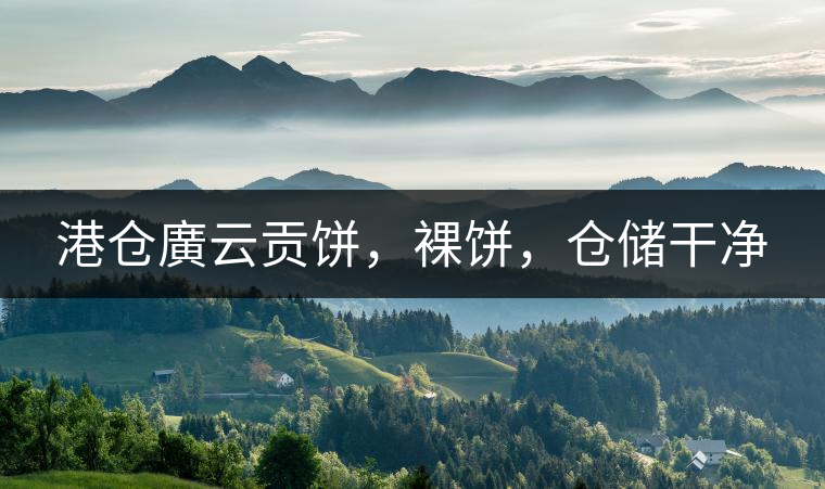 港倉廣云貢餅，裸餅，倉儲(chǔ)干凈