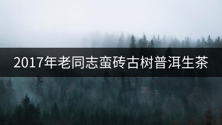 2017年老同志蠻磚古樹(shù)普洱生茶 2017年老同志蠻磚古樹(shù)普洱生茶