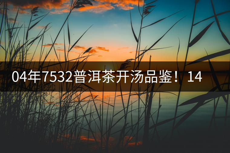 04年7532普洱茶開湯品鑒！14年轉(zhuǎn)化，經(jīng)典雪印配方！