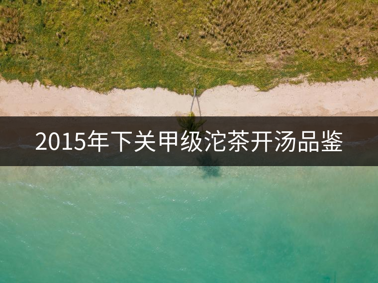 2015年下關(guān)甲級(jí)沱茶開湯品鑒