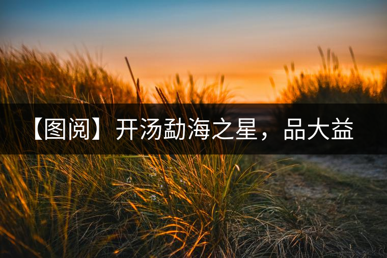 【圖閱】開湯勐海之星，品大益熟茶滋味