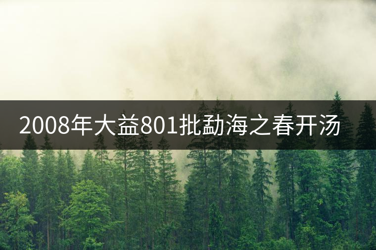 2008年大益801批勐海之春開(kāi)湯品鑒