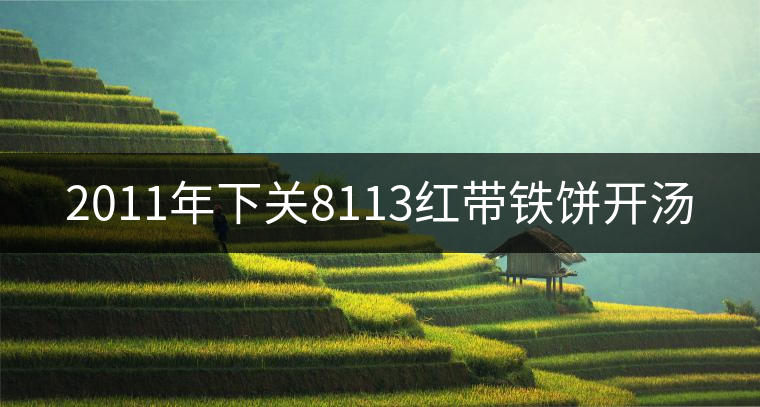 2011年下關8113紅帶鐵餅開湯 2011年下關8113紅帶鐵餅開湯