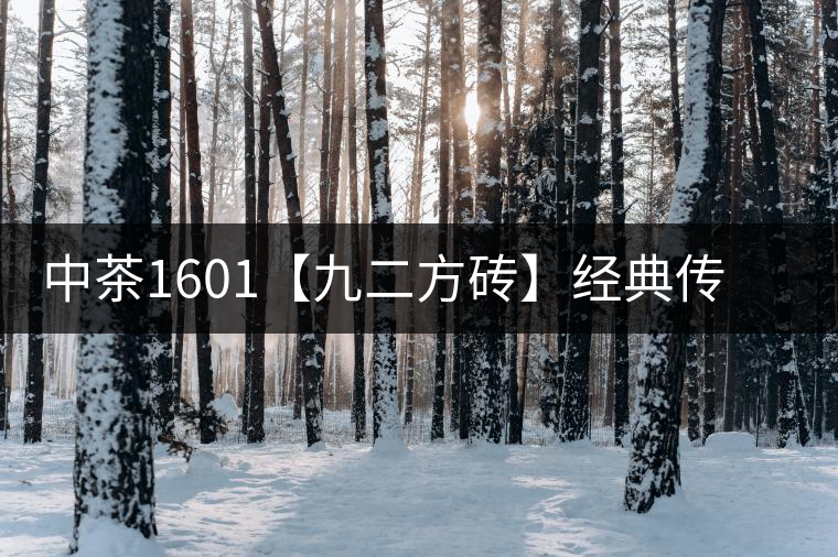 中茶1601【九二方磚】經典傳承，巔峰即現(xiàn)