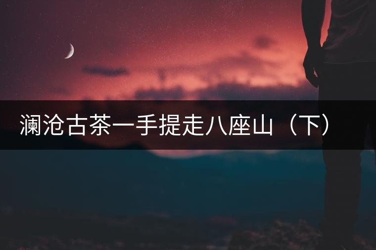 瀾滄古茶一手提走八座山（下）開(kāi)湯品鑒