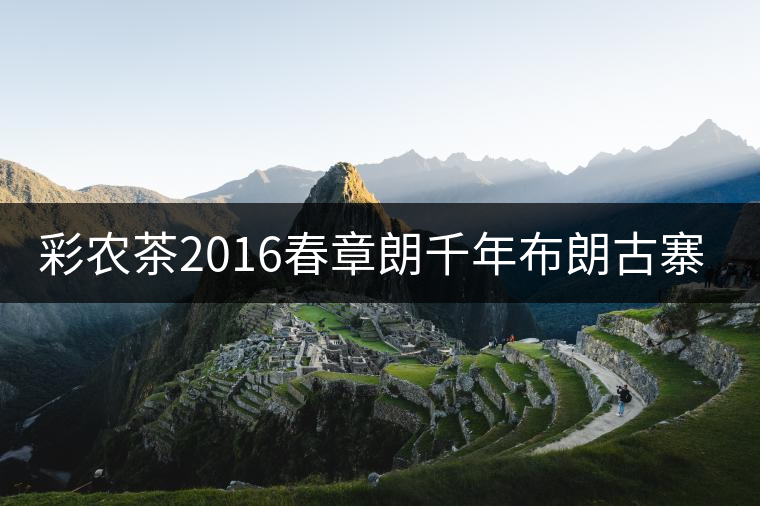 彩農(nóng)茶2016春章朗千年布朗古寨圓茶開湯 彩農(nóng)茶2016春章朗千年布朗古寨圓茶開湯