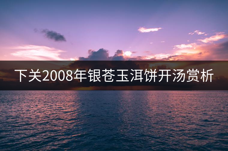 下關(guān)2008年銀蒼玉洱餅開(kāi)湯賞析 下關(guān)2008年銀蒼玉洱餅開(kāi)湯賞析