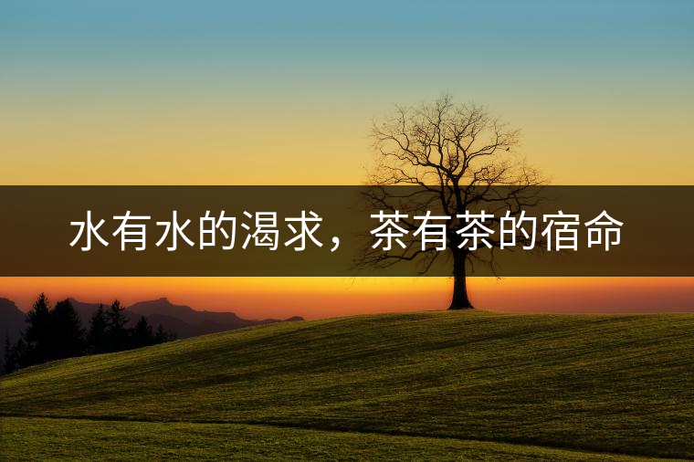 水有水的渴求，茶有茶的宿命