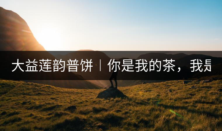 大益蓮韻普餅︱你是我的茶，我是你的人！