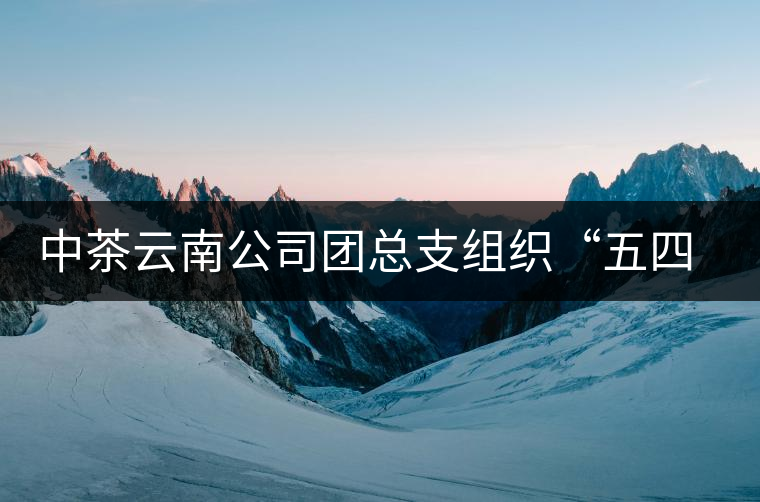 中茶云南公司團(tuán)總支組織“五四”青年節(jié)活動(dòng) 中茶云南公司團(tuán)總支組織“五四”青年節(jié)活動(dòng)