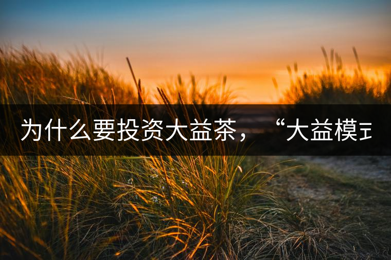 為什么要投資大益茶，“大益模式”告訴你！