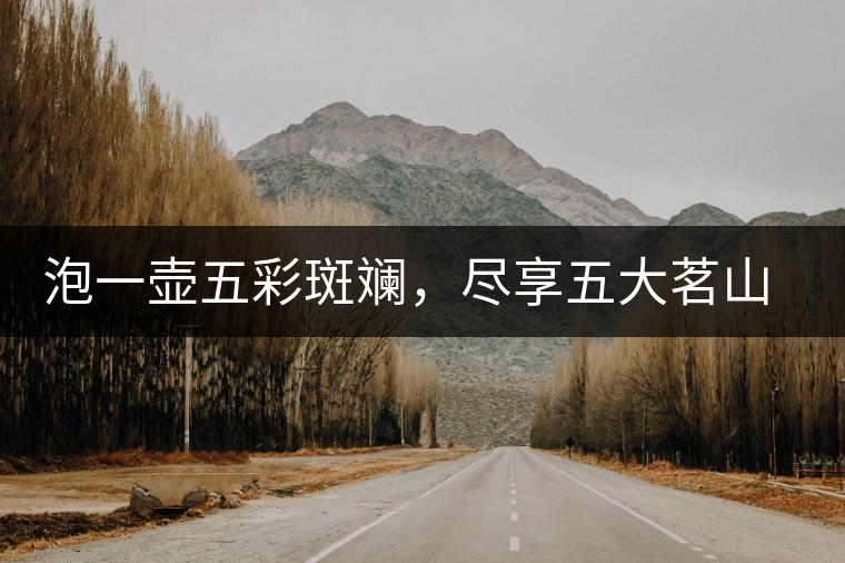 泡一壺五彩斑斕，盡享五大茗山之味