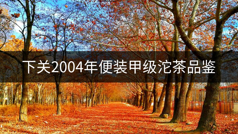 下關(guān)2004年便裝甲級(jí)沱茶品鑒 下關(guān)2004年便裝甲級(jí)沱茶品鑒