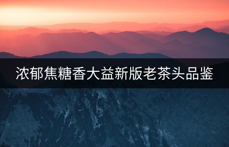 濃郁焦糖香大益新版老茶頭品鑒