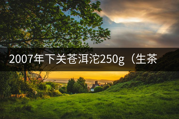 2007年下關(guān)蒼洱沱250g（生茶）品評