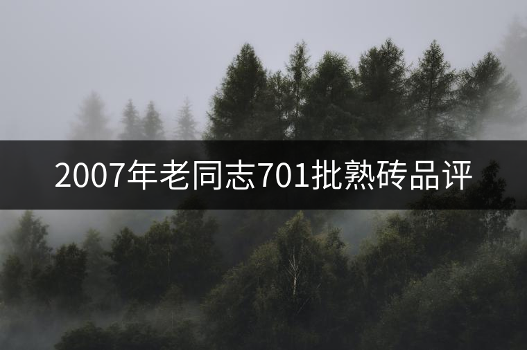 2007年老同志701批熟磚品評(píng) 2007年老同志701批熟磚品評(píng)