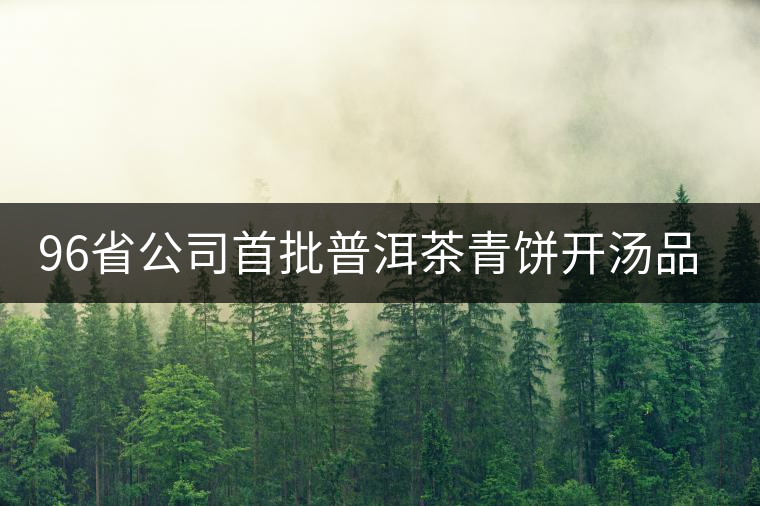 96省公司首批普洱茶青餅開湯品鑒