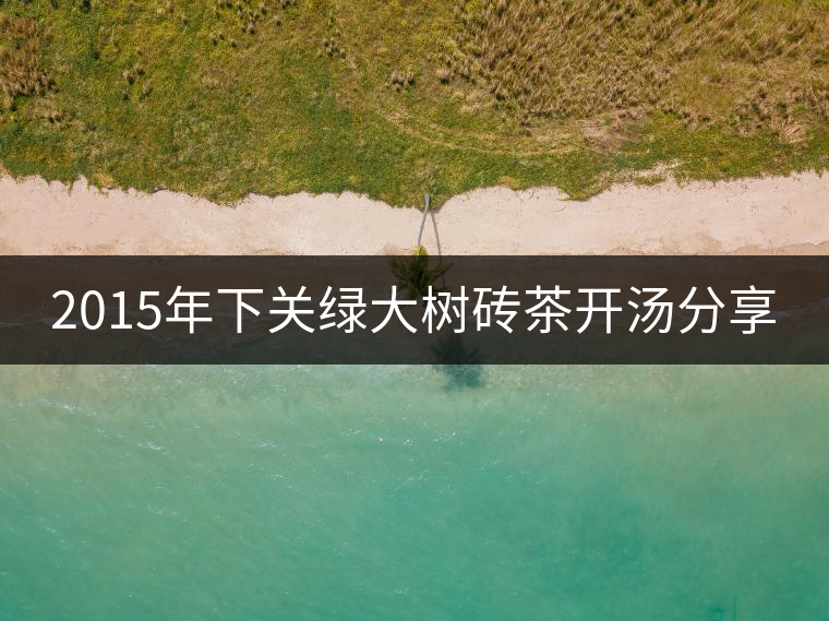2015年下關(guān)綠大樹(shù)磚茶開(kāi)湯分享 2015年下關(guān)綠大樹(shù)磚茶開(kāi)湯分享