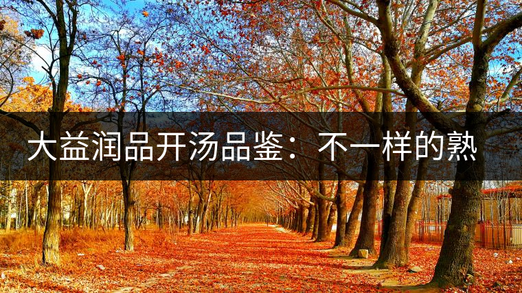 大益潤(rùn)品開湯品鑒：不一樣的熟茶