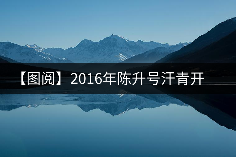 【圖閱】2016年陳升號(hào)汗青開湯 【圖閱】2016年陳升號(hào)汗青開湯