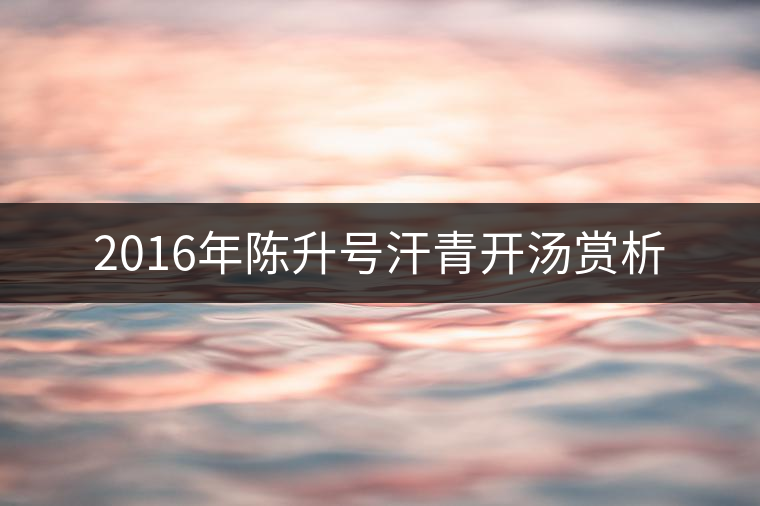 2016年陳升號(hào)汗青開湯賞析 2016年陳升號(hào)汗青開湯賞析