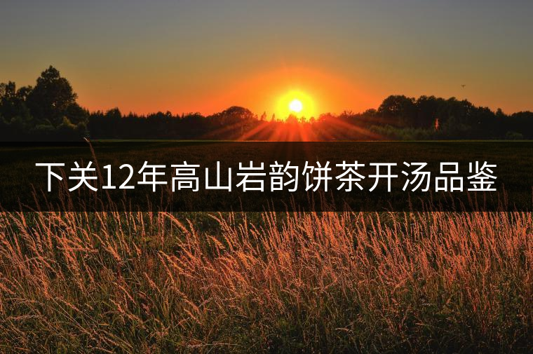 下關(guān)12年高山巖韻餅茶開(kāi)湯品鑒 下關(guān)12年高山巖韻餅茶開(kāi)湯品鑒