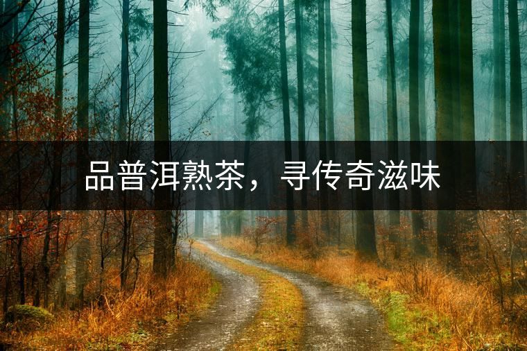 品普洱熟茶，尋傳奇滋味