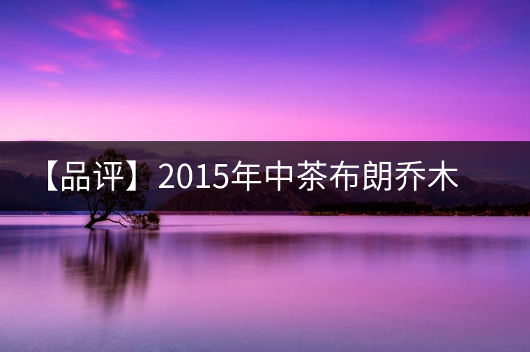 【品評(píng)】2015年中茶布朗喬木老樹(shù)茶