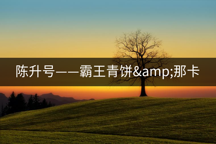 陳升號(hào)——霸王青餅&那卡 陳升號(hào)——霸王青餅&那卡