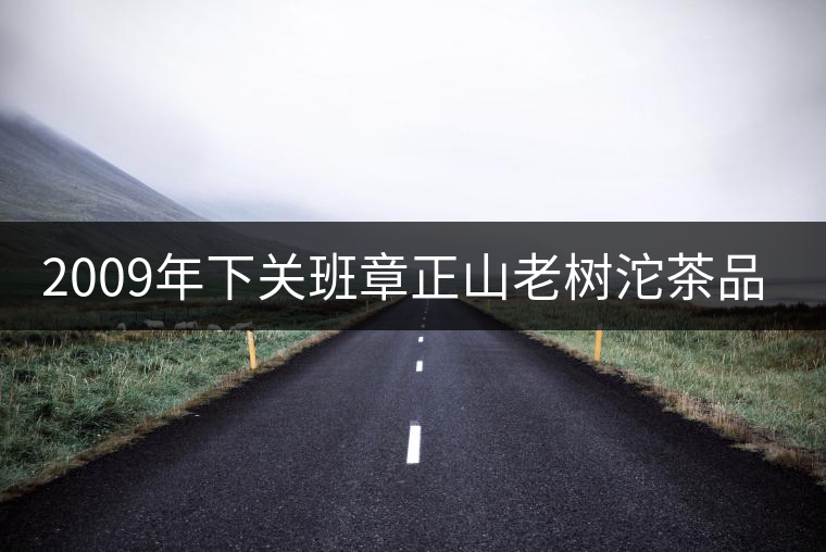 2009年下關(guān)班章正山老樹沱茶品評(píng)