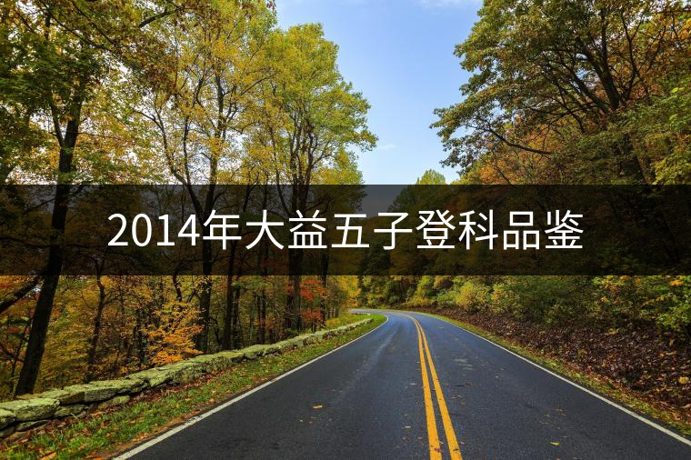 2014年大益五子登科品鑒 2014年大益五子登科品鑒