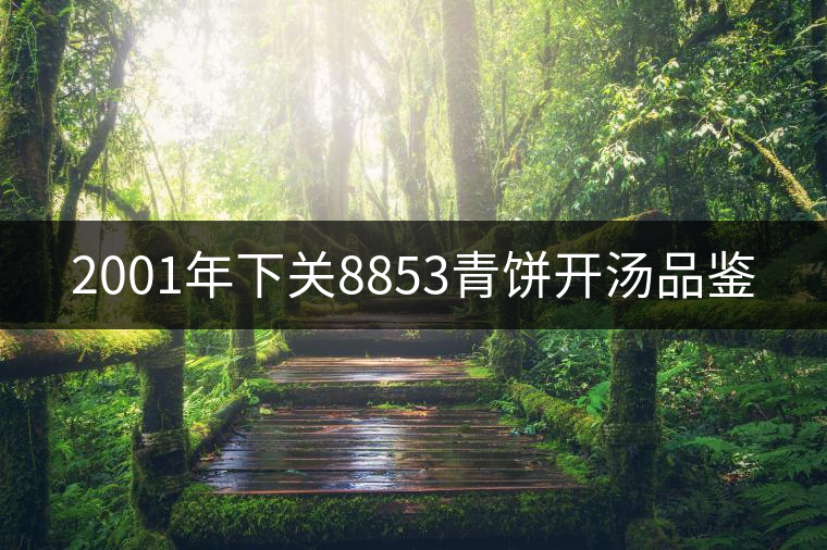 2001年下關(guān)8853青餅開湯品鑒 2001年下關(guān)8853青餅開湯品鑒