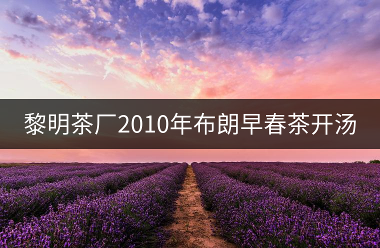 黎明茶廠2010年布朗早春茶開(kāi)湯 黎明茶廠2010年布朗早春茶開(kāi)湯