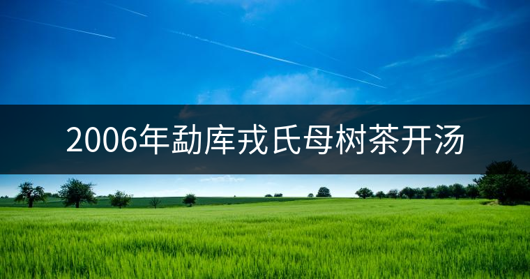 2006年勐庫戎氏母樹茶開湯 2006年勐庫戎氏母樹茶開湯