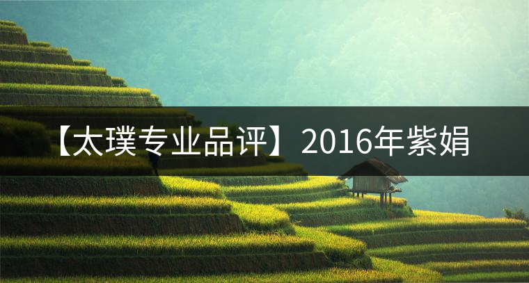 【太璞專業(yè)品評(píng)】2016年紫娟 【太璞專業(yè)品評(píng)】2016年紫娟