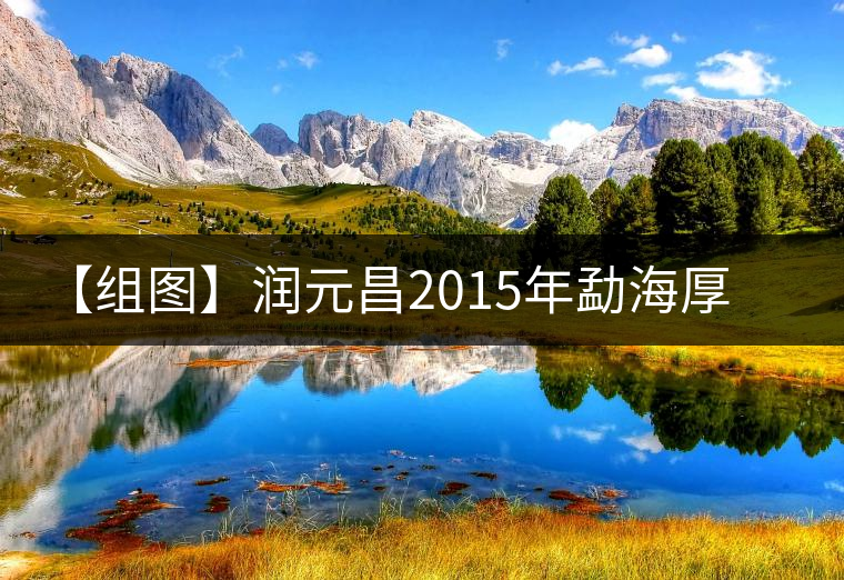 【組圖】潤元昌2015年勐海厚磚(熟)開湯 【組圖】潤元昌2015年勐海厚磚(熟)開湯