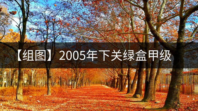 【組圖】2005年下關綠盒甲級沱開湯