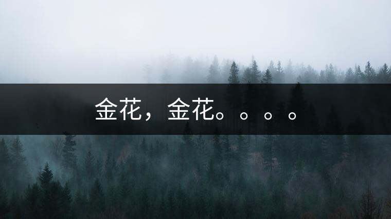 金花，金花。。。。