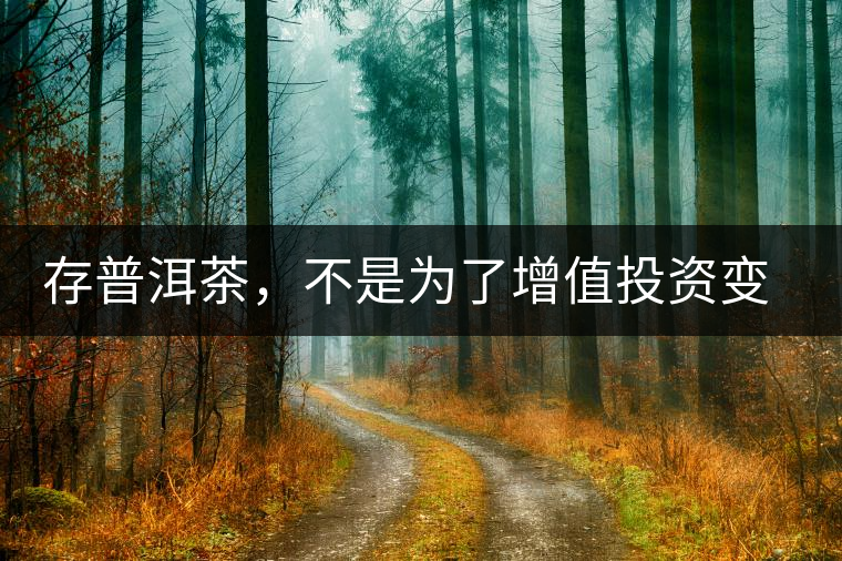 存普洱茶，不是為了增值投資變現(xiàn)，而是為了自己以后有純正的