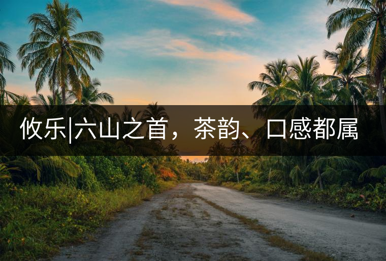 攸樂|六山之首，茶韻、口感都屬古六山一系