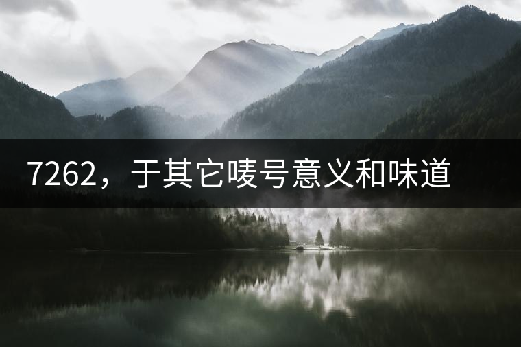 7262，于其它嘜號(hào)意義和味道都不一樣的大益高等級(jí)熟餅