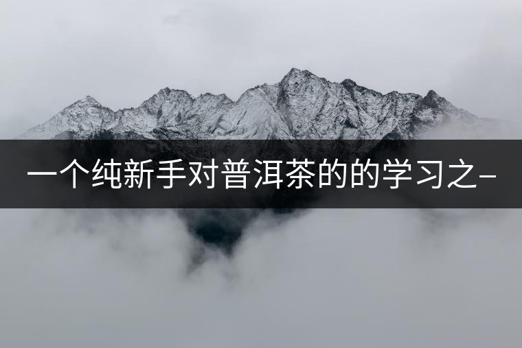 一個純新手對普洱茶的的學(xué)習(xí)之——【味】 一個純新手對普洱茶的的學(xué)習(xí)之——【味】