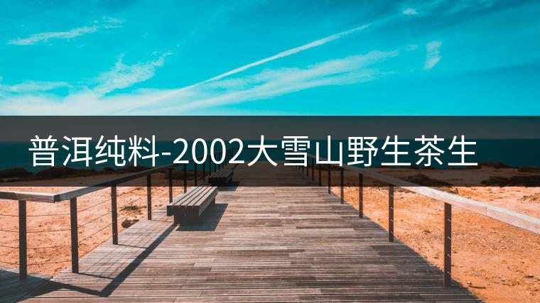 普洱純料-2002大雪山野生茶生茶品鑒