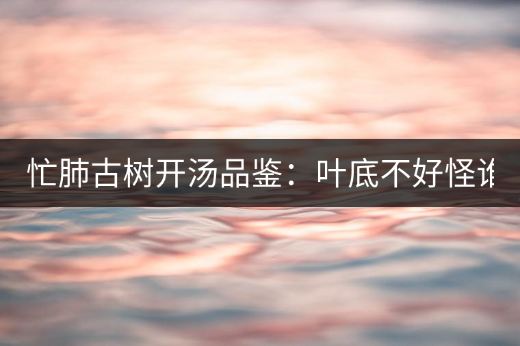 忙肺古樹開湯品鑒：葉底不好怪誰？